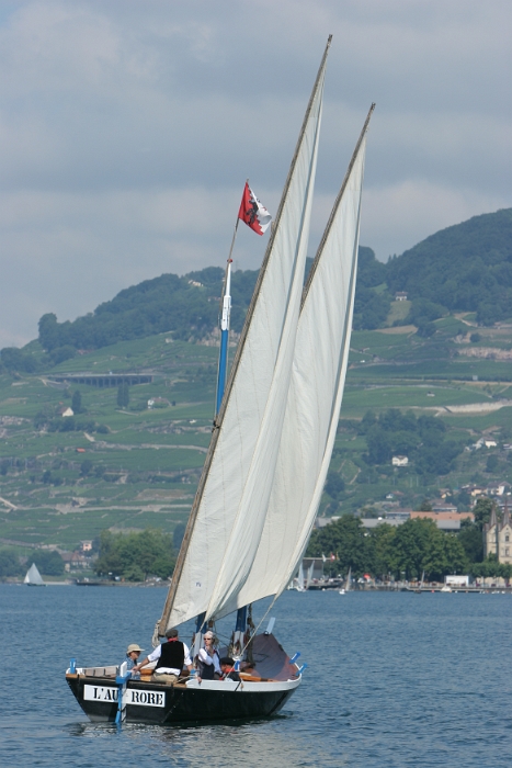 Regate Vieux Bateaux - 107 - 2008